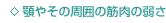 ・顎やその周囲の筋肉の弱さ